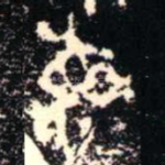 彝