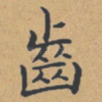齿