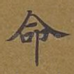 命