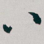 八