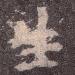 生