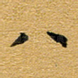 八