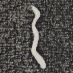 之