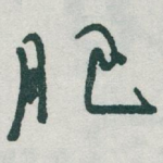 肥