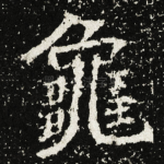 龜
