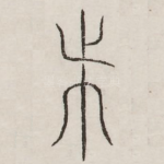 会