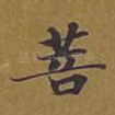菩