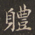 体