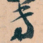 专