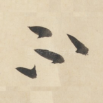 不
