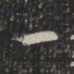一