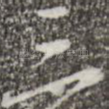 三