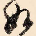 如