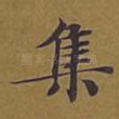 集