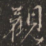 观