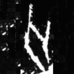 亡