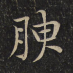 腴