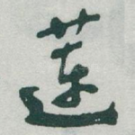 莲