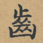齿