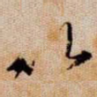 以