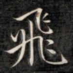飞