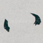 八