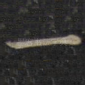 一