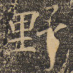 野