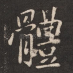 体
