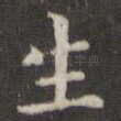 生