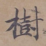 樹