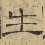 生