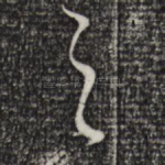 之