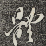 体