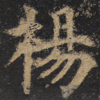 杨
