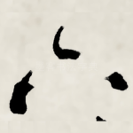 六
