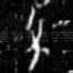 父