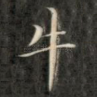 牛