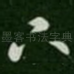 下