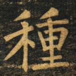 种