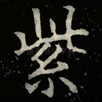 紫