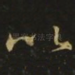 以
