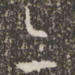 亦