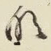 明