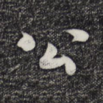 公