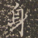 身