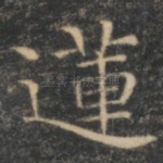 莲