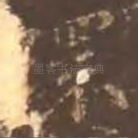 环