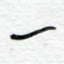 一
