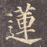 莲